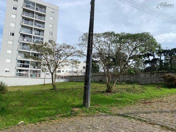 land_lot em Milton Rogerio Dessotti, Vinhedos - Caxias do Sul - RS
