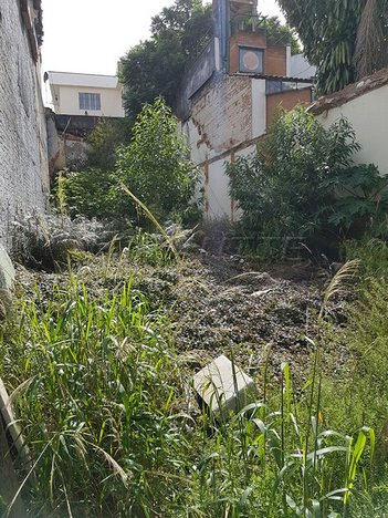 land_lot em Ucaiari, Alto da Lapa - São Paulo - SP