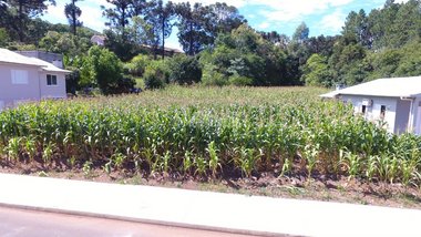 land_lot em Rua Magdalena Savoldi, São José - Concórdia - SC