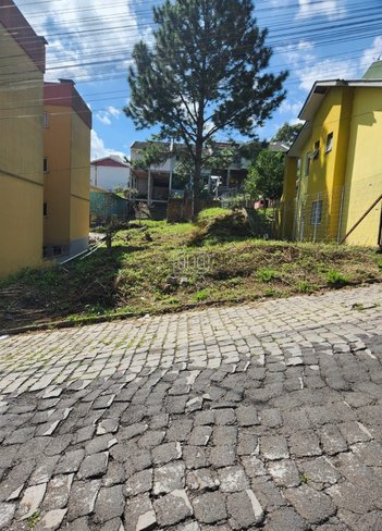land_lot em Rua Angelo Colognese, Desvio Rizzo - Caxias do Sul - RS