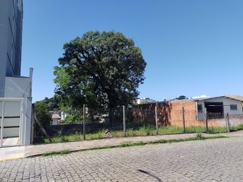 land_lot em Rua Pedro Viezzer, Presidente Vargas - Caxias do Sul - RS