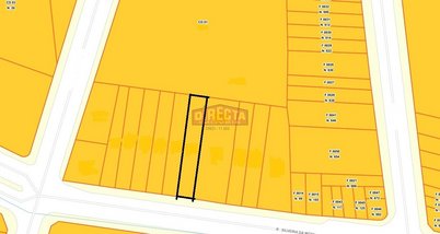 land_lot em Rua Silveira da Mota, Cambuci - São Paulo - SP