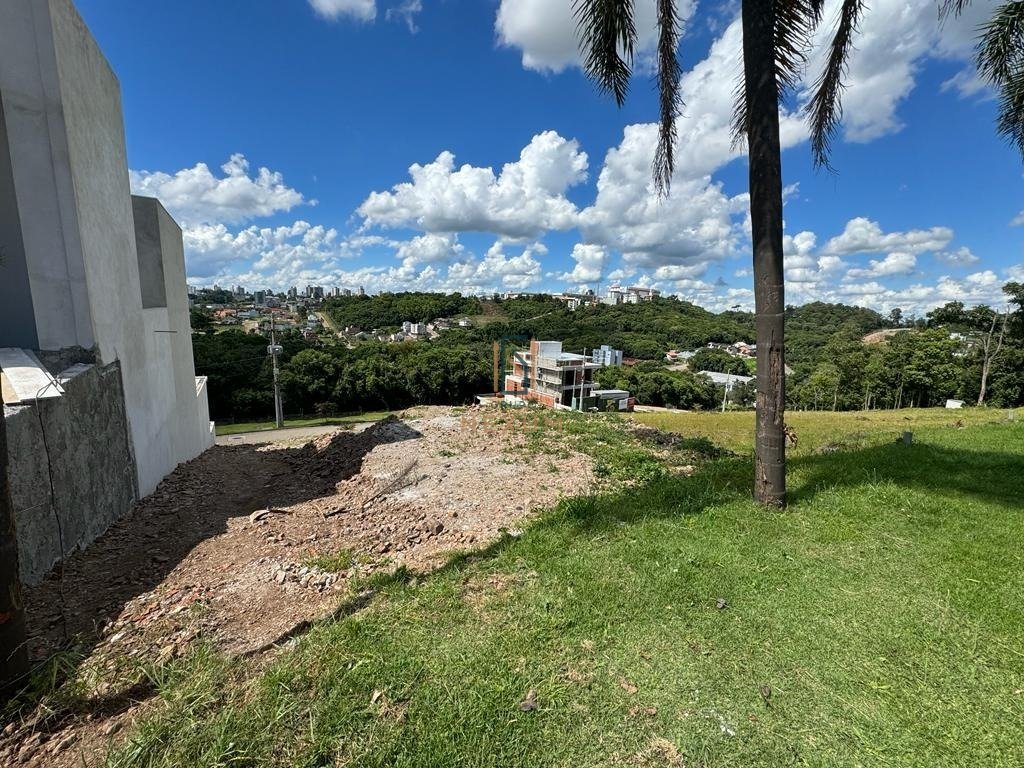 LOTE 48 (2)