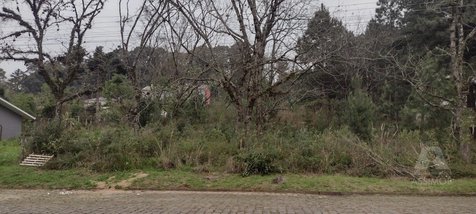land_lot em Rua Doutor Emílio Ataliba Finger, Vinhedos - Caxias do Sul - RS