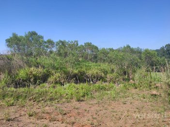 land_lot em Avenida Rio Grande do Norte, Campestre - Lajeado - RS