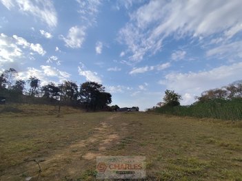 commercial_property em Rua Padre Roque, Centro - Mogi Mirim - SP