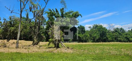 land_lot em Rua Intendente Antônio Damasco, Ratones - Florianópolis - SC