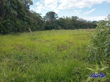land_lot em Dr Jayme Antunes Macial, Forquilhas - São José - SC