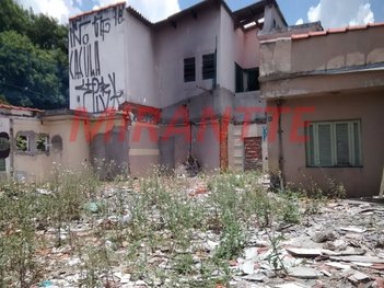 land_lot em Camuruji, Vila Nova Mazzei - São Paulo - SP