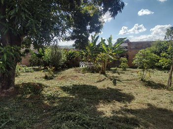 land_lot em Rua Maranhão, Tereza Cristina - São Joaquim de Bicas - MG