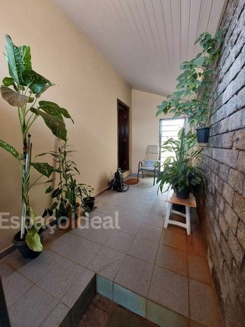 house em Avenida Pinheiro Machado, Jardim Terra Branca - Bauru - SP