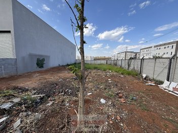 land_lot em Rua Padre Roque, Centro - Mogi Mirim - SP