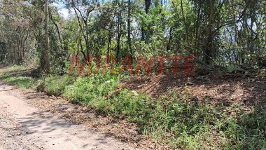 land_lot em Alameda Campinas, Roseira - Mairiporã - SP