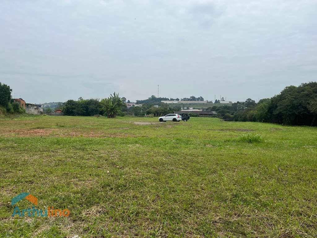 image-0