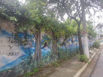 land_lot em Rua Loefgren, Vila Clementino - São Paulo - SP