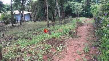 agricultural em Rua das Andorinhas, São José do Almeida - Jaboticatubas - MG
