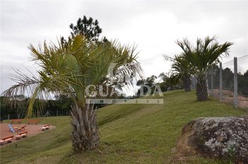land_lot em Estrada Cristiano Kraemer, Vila Nova - Porto Alegre - RS