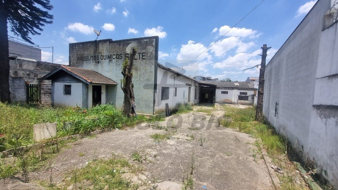 WhatsApp Image 2024-12-13 at 14.41