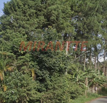 land_lot em Araçoiaba, Santa Inês - Caieiras - SP