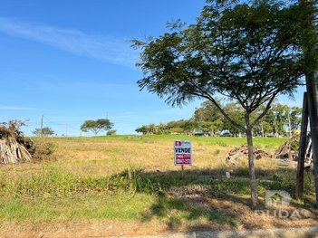 land_lot em Avenida Professor Nicolau Destri Napoleão, Jardim Angélica - Criciúma - SC
