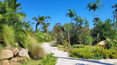 land_lot em Rodovia Armando Calil Bulos, Ingleses do Rio Vermelho - Florianópolis - SC