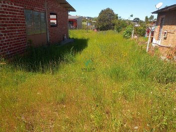 land_lot em Rua Passo Fundo, Vila Luiza - Passo Fundo - RS