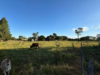 agricultural em Rua Aclimação, Chácara das Mansões - Campo Grande - MS