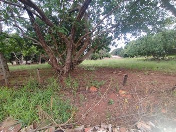 land_lot em Rua Júlia Peronti Bellotte, Parque Laranjeiras - Araraquara - SP