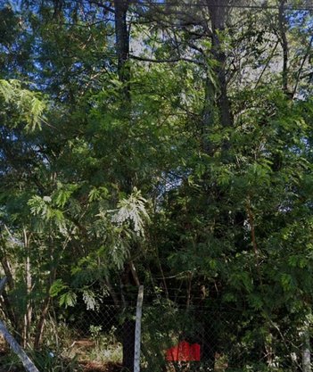 land_lot em Avenida Alziro Zarur, Vila Vardelina - Maringá - PR