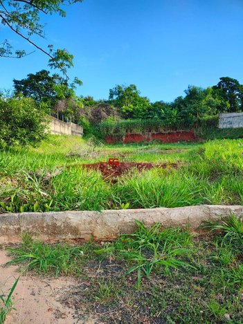 land_lot em Avenida Professor Mário Autuori, City Ribeirão - Ribeirão Preto - SP