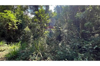 land_lot em Rua das Sucupiras, Jardins de Petrópolis - Nova Lima - MG