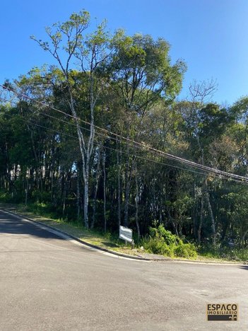 land_lot em Rua A, Floresta - Gramado - RS