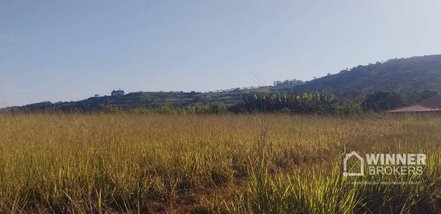 agricultural em Avenida Guaiapó, Jardim Colina Verde - Maringá - PR