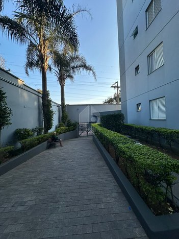 apartment em Rua Almino Afonso, Jardim Norma - São Paulo - SP