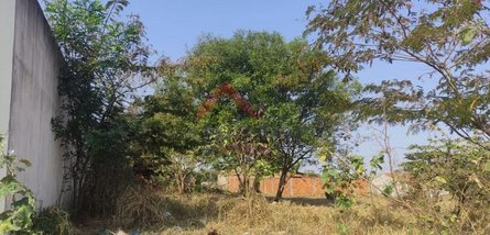 land_lot em Pol�nia, Jardim Europa - Andradina - SP