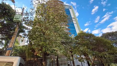 apartment em Rua Doutor Sampaio Ferraz, Cambuí - Campinas - SP