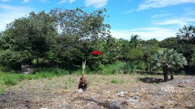 commercial_land_lot em BR-116, Ancuri - Fortaleza - CE