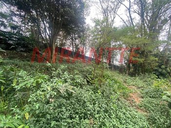 land_lot em Rua Artur Sievers, Jardim Ibirapuera - São Paulo - SP