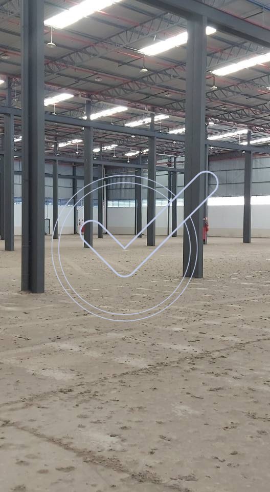 WhatsApp Image 2025-05-28 at 12.42