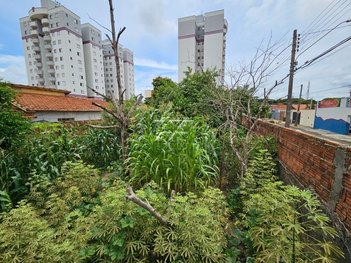land_lot em 10, Vila Elizabeth (BNH) - Rio Claro - SP
