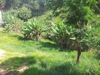 land_lot em Rua Itabaiana, Jardim Califórnia - Barueri - SP