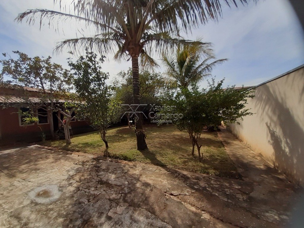 Jardim/ pomar