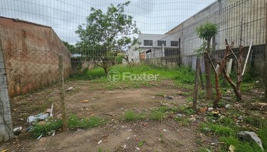 land_lot em Avenida Manoel Elias, Jardim Leopoldina - Porto Alegre - RS