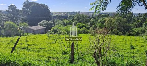 land_lot em Rua Antonia Buturi Necatschalon, Colônia Dona Luíza - Ponta Grossa - PR