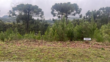 land_lot em Rua Waldi Kich, Dutra - Gramado - RS