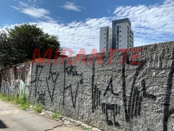 land_lot em Edite, Lauzane Paulista - São Paulo - SP