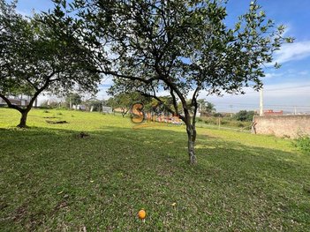 land_lot em Blumenau, Santo André - São Leopoldo - RS