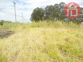 land_lot em Rodovia Capitão Barduíno, Curitibanos - Bragança Paulista - SP