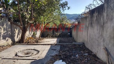 land_lot em Santa Inês, Jardim Peri - São Paulo - SP