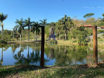 land_lot em Rua Papa João Paulo II, Miguel Pereira - Miguel Pereira - RJ